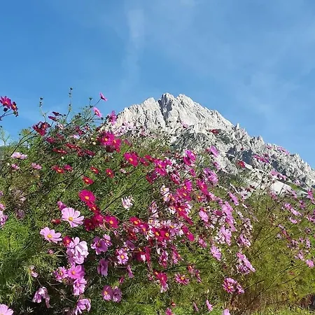 Mimosa San Vito דירה סאן ויטו די קדורה
