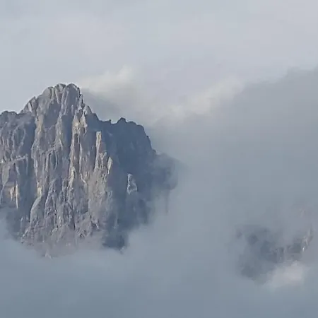 Mimosa San Vito 아파트 산비토디카도레