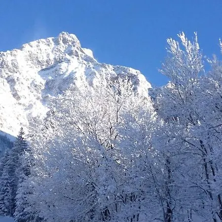 Διαμέρισμα Mimosa San Vito San Vito di Cadore